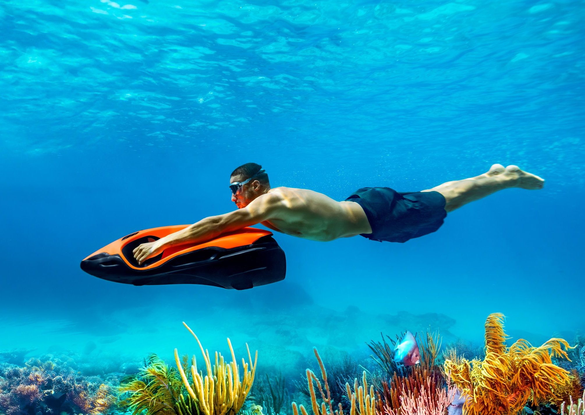 Watersports activity on a sunny coastline